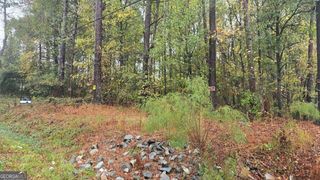 0 Grant Road, Ellenwood, GA 30294