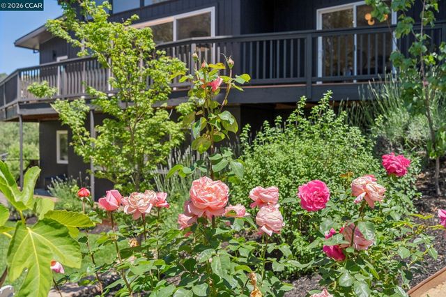 1119 Oak Hill Rd, Lafayette, CA 94549