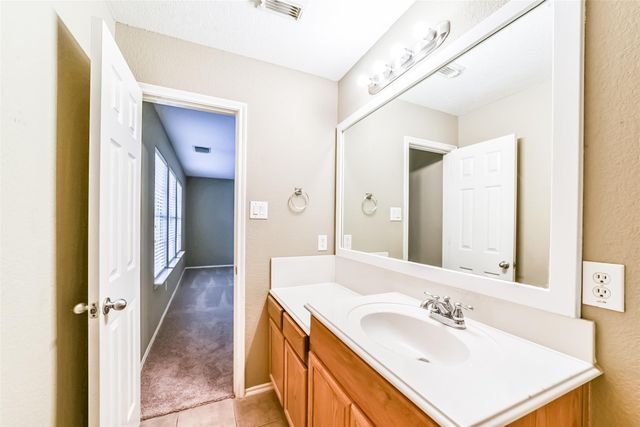 21223 Fire Wind Court, Spring, TX 77379