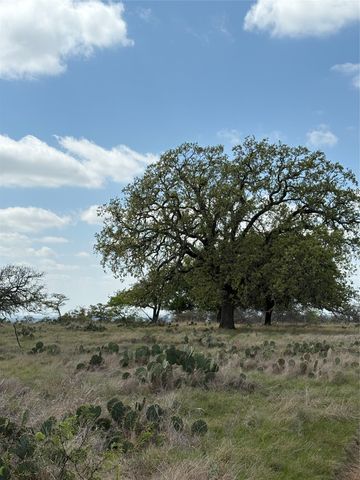 520 SH 16 N, Goldthwaite, TX 76844