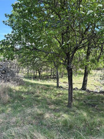 520 SH 16 N, Goldthwaite, TX 76844