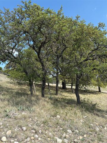 520 SH 16 N, Goldthwaite, TX 76844