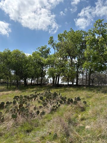 520 SH 16 N, Goldthwaite, TX 76844