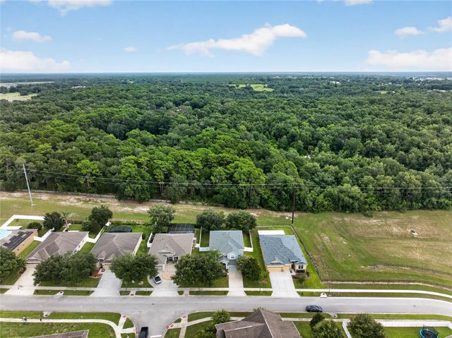 5202 ROYCE DRIVE, Mount Dora, FL 32757