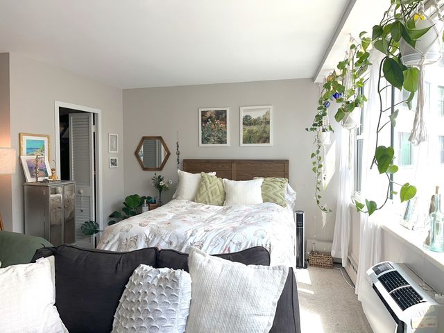 1150 N LAKE SHORE Drive 3J, Chicago, IL 60611