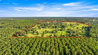 17748 N HWY 329, Reddick, FL 32686