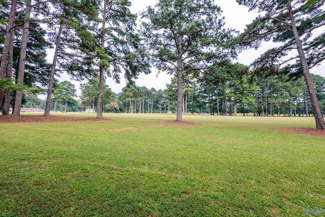 2505 Burningtree Drive SE, Decatur, AL 35603