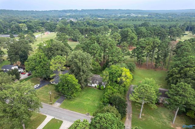2505 Burningtree Drive SE, Decatur, AL 35603