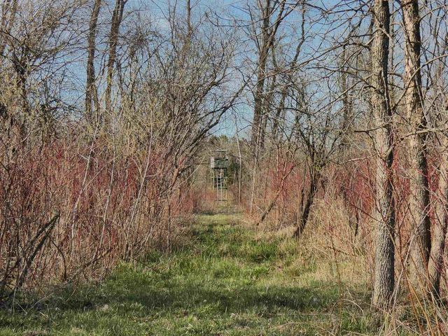N6604 BALLARD ROAD, Seymour, WI 54165