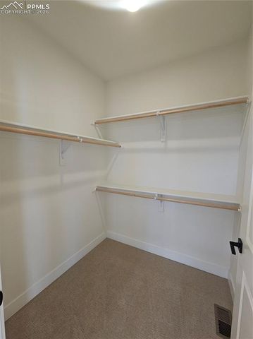 16247 Monument Rock Court, Monument, CO 80132