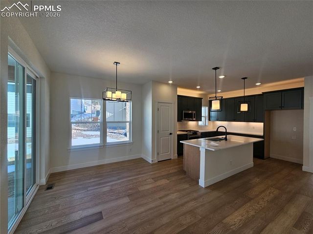 16247 Monument Rock Court, Monument, CO 80132