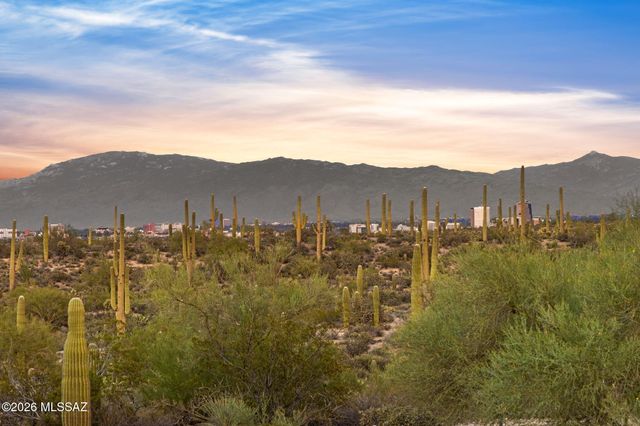 2943 W Encelia Court, Tucson, AZ 85745