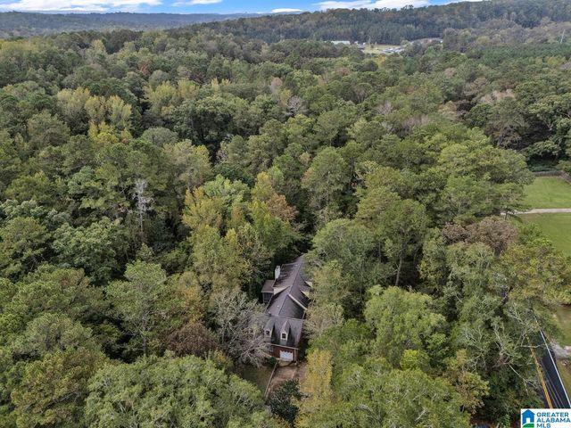 5025 TRUSSVILLE CLAY ROAD, Trussville, AL 35173