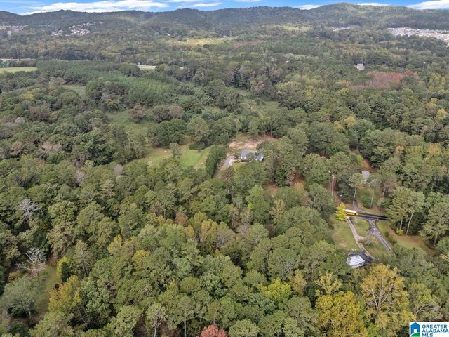 5025 TRUSSVILLE CLAY ROAD, Trussville, AL 35173