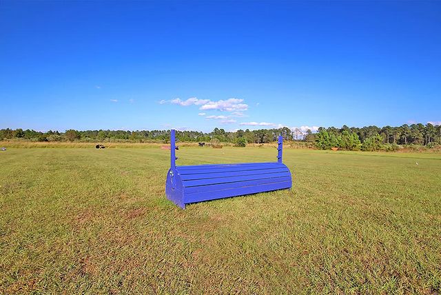 3989 Bulow Landing Road, Ravenel, SC 29470