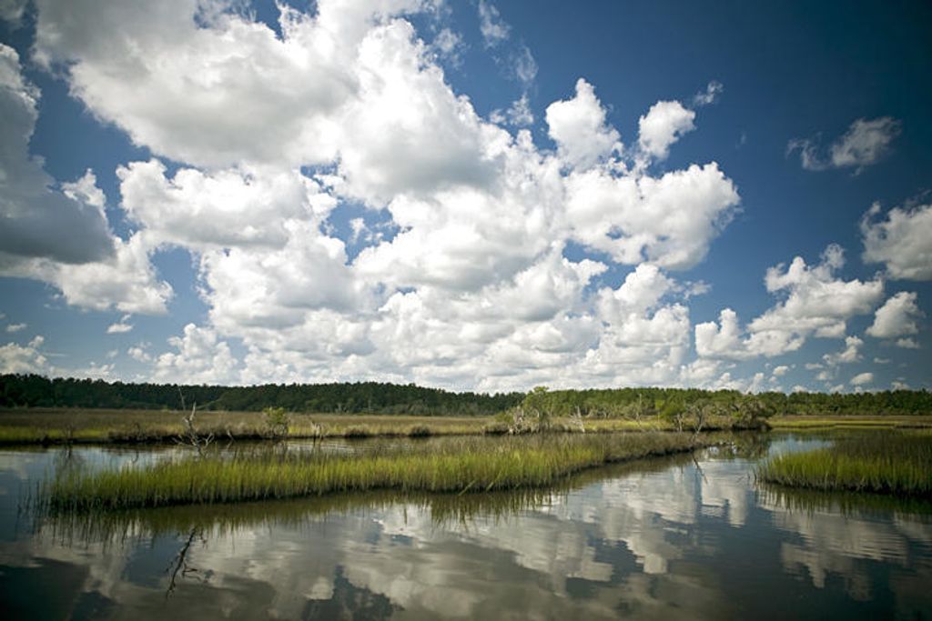 3989 Bulow Landing Road, Ravenel, SC 29470
