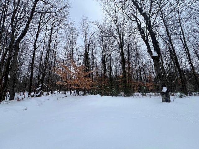 27 French Road, North Bangor, NY 12966