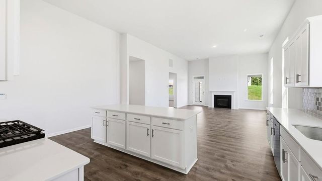 565 Landseer Drive, Landrum, SC 29356