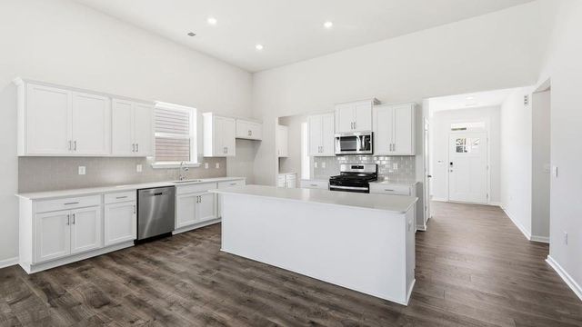 565 Landseer Drive, Landrum, SC 29356