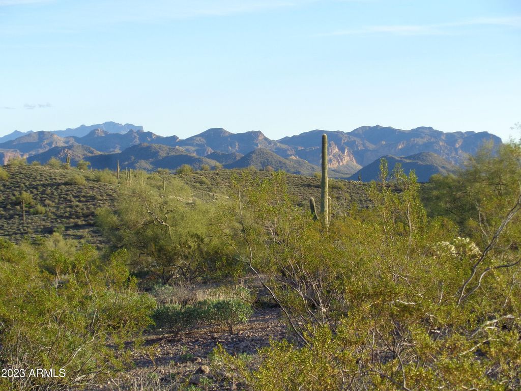 13801 N TIERRA DEL ORO Place 7-H, Fort McDowell, AZ 85264 — photo 4