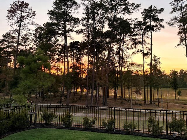 14858 Whistling Duck Lane, Magnolia, TX 77354