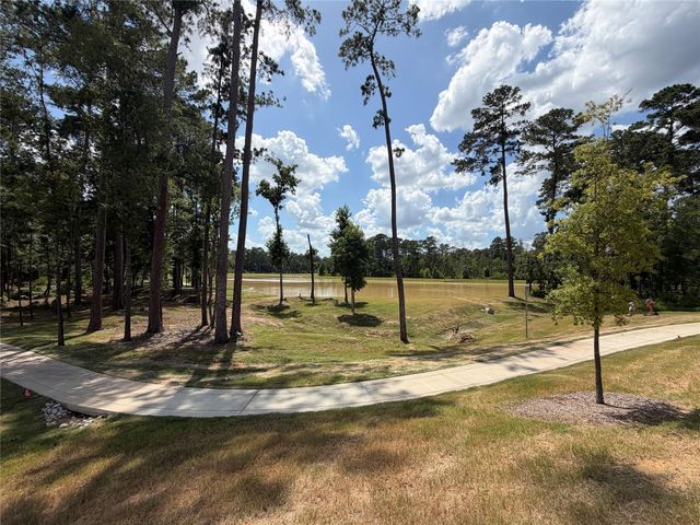 14858 Whistling Duck Lane, Magnolia, TX 77354