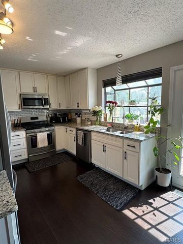12632 Treeyard Lane, St Louis, MO 63138
