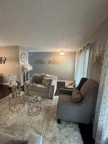 12632 Treeyard Lane, St Louis, MO 63138