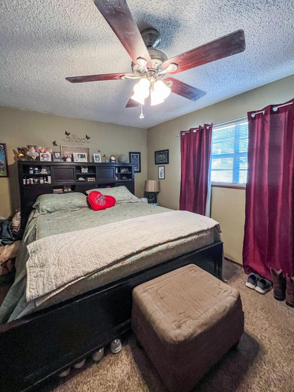 Image 5 of property listing at 1100 N Ohio Avenue, Big Lake, TX 76932