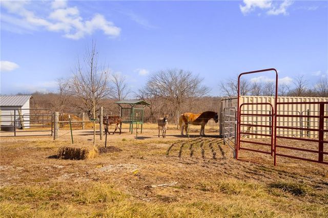 12809 E 246th Terrace, Peculiar, MO 64078