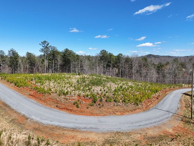 155 Shallow Water Trail, Talking Rock, GA 30175