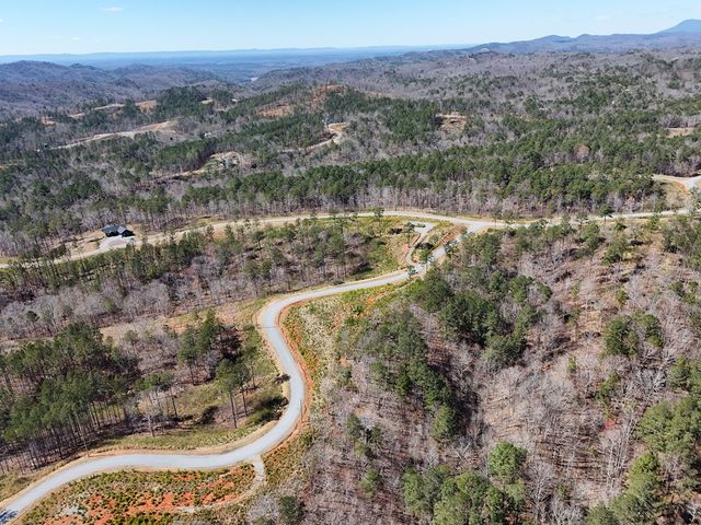 155 Shallow Water Trail, Talking Rock, GA 30175