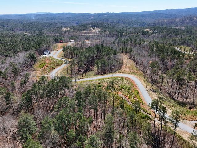 155 Shallow Water Trail, Talking Rock, GA 30175