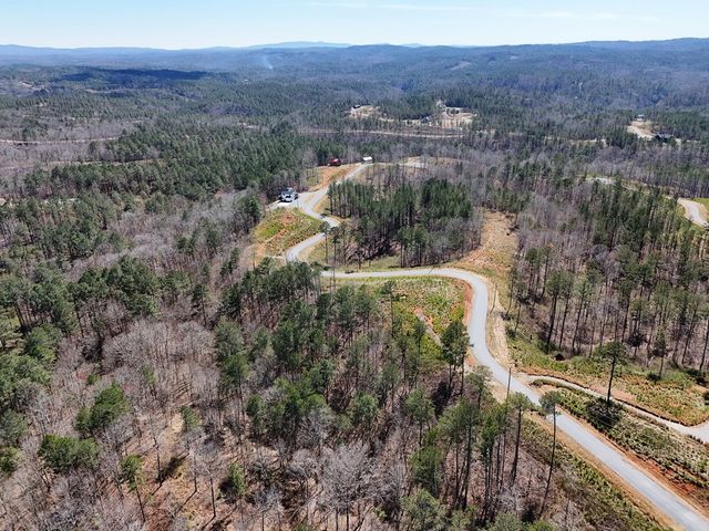 155 Shallow Water Trail, Talking Rock, GA 30175