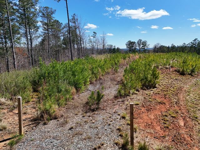 155 Shallow Water Trail, Talking Rock, GA 30175