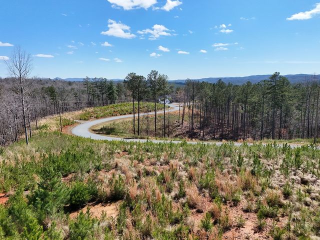 155 Shallow Water Trail, Talking Rock, GA 30175