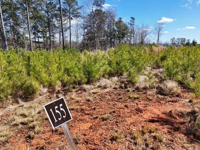 155 Shallow Water Trail, Talking Rock, GA 30175