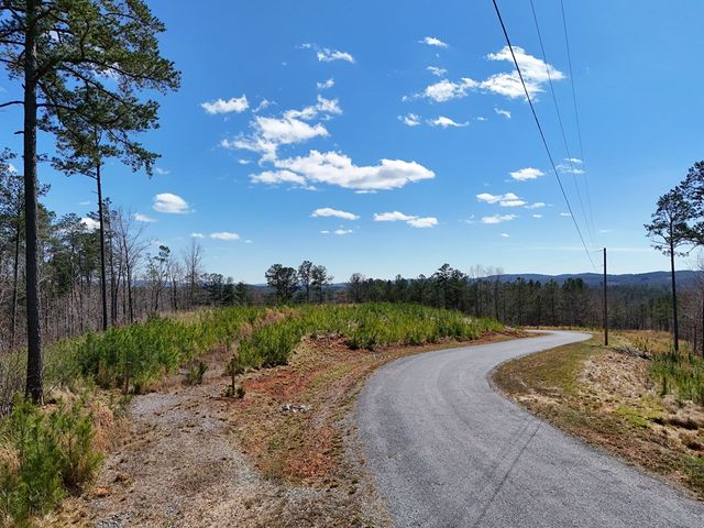 155 Shallow Water Trail, Talking Rock, GA 30175