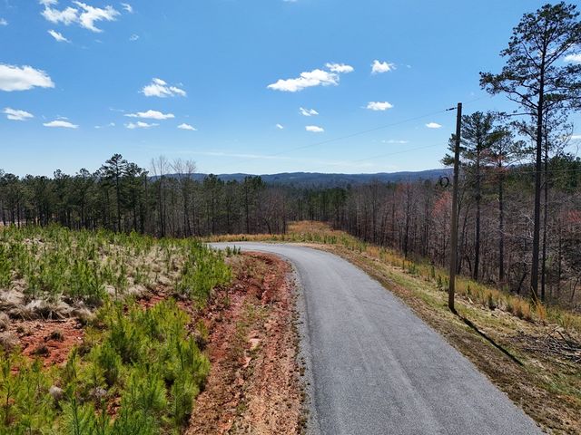 155 Shallow Water Trail, Talking Rock, GA 30175