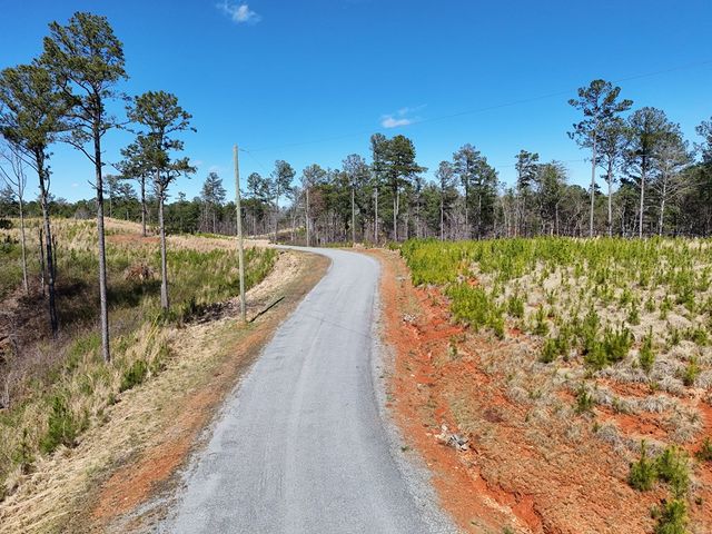 155 Shallow Water Trail, Talking Rock, GA 30175