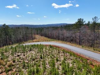 155 Shallow Water Trail, Talking Rock, GA 30175