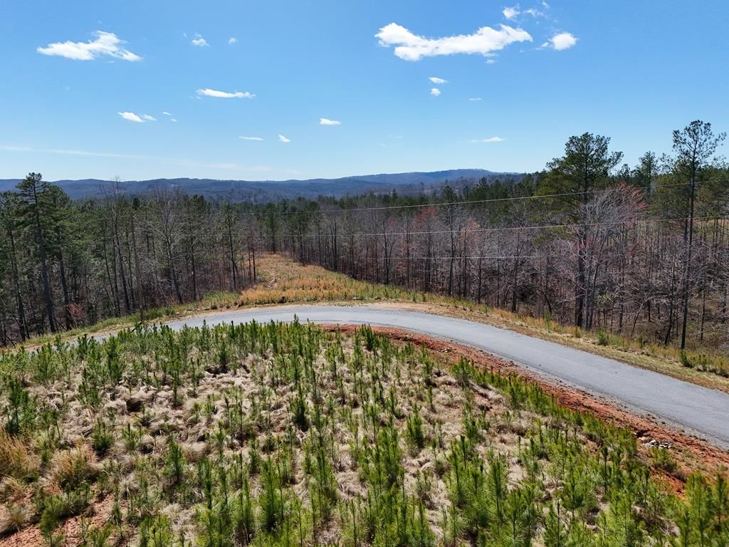 155 Shallow Water Trail, Talking Rock, GA 30175