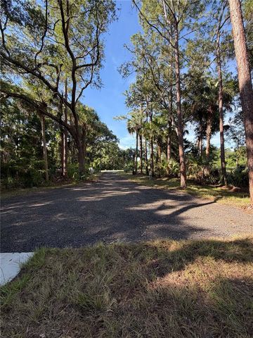 1438 LAKE HARNEY, Geneva, FL 32732
