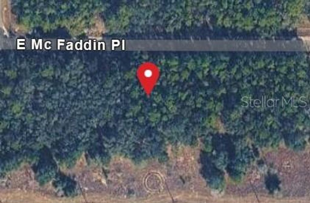 389 E MC FADDIN PLACE E, Dunnellon, FL 34434