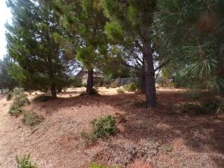 10265 Fairway, Kelseyville, CA 95451
