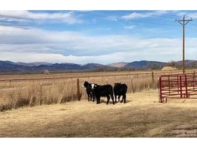 14798 N 115th St, Longmont, CO 80504