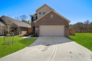 9993 Mountain Lion Lane, Magnolia, TX 77354