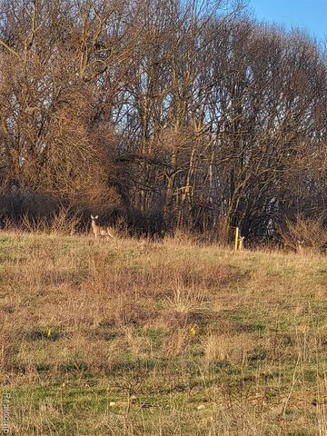 TBD Parcel B Olivia Drive, Milford, MI 48380