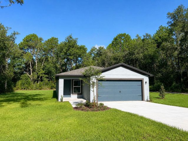 13331 CANADA GOOSE ROAD, Weeki Wachee, FL 34614