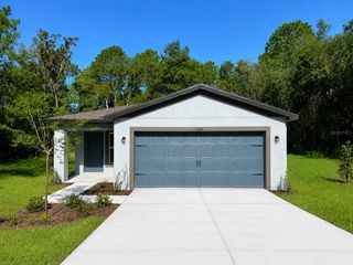 13331 CANADA GOOSE ROAD, Weeki Wachee, FL 34614